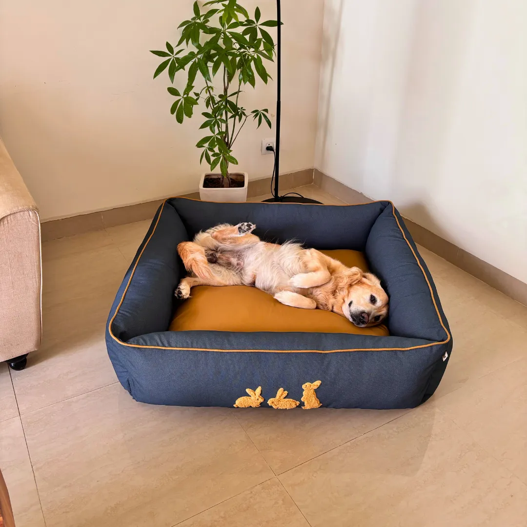 PoochMate Bunny Bliss Navy-Sand Dog Bed