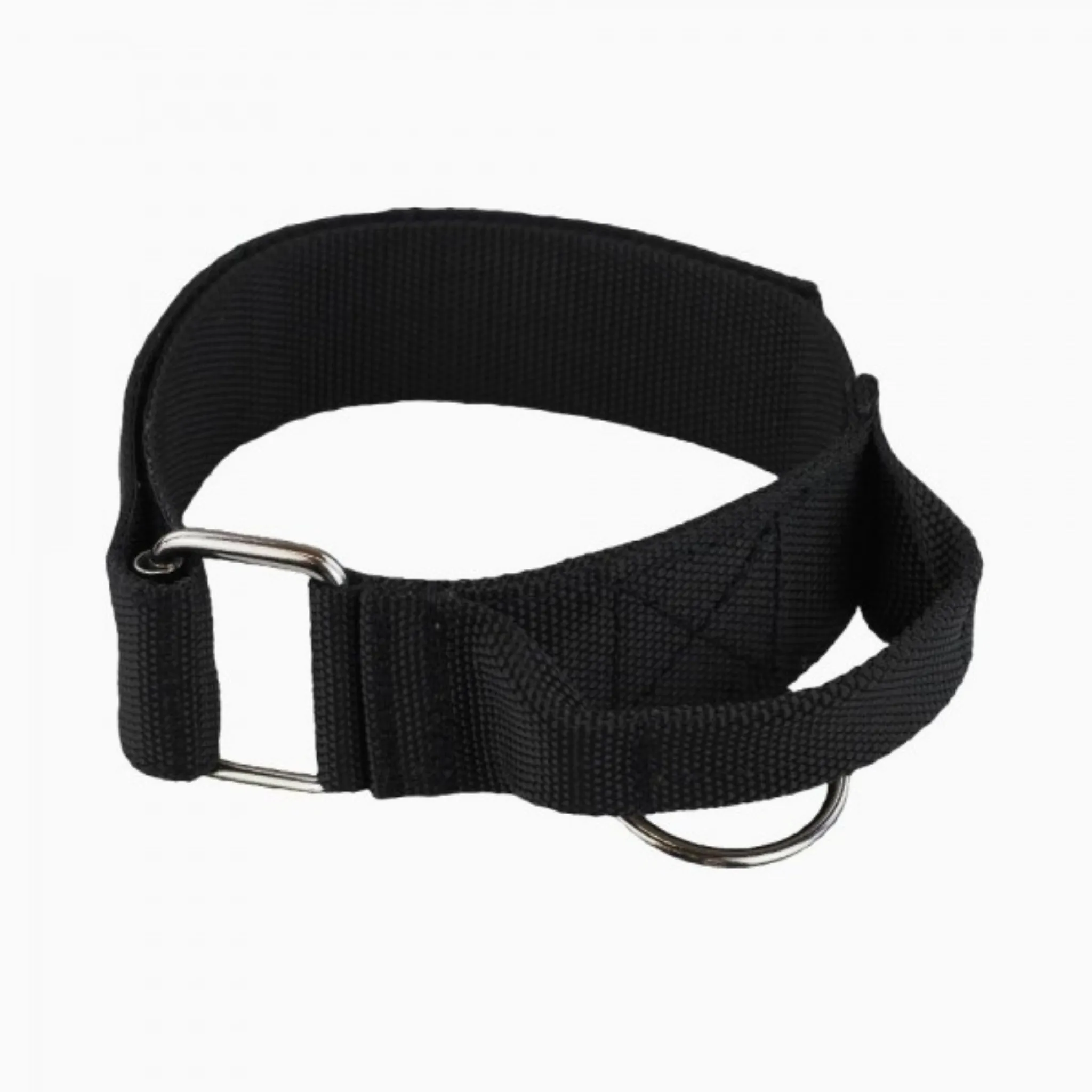 Raddog Nylon Protection Collar