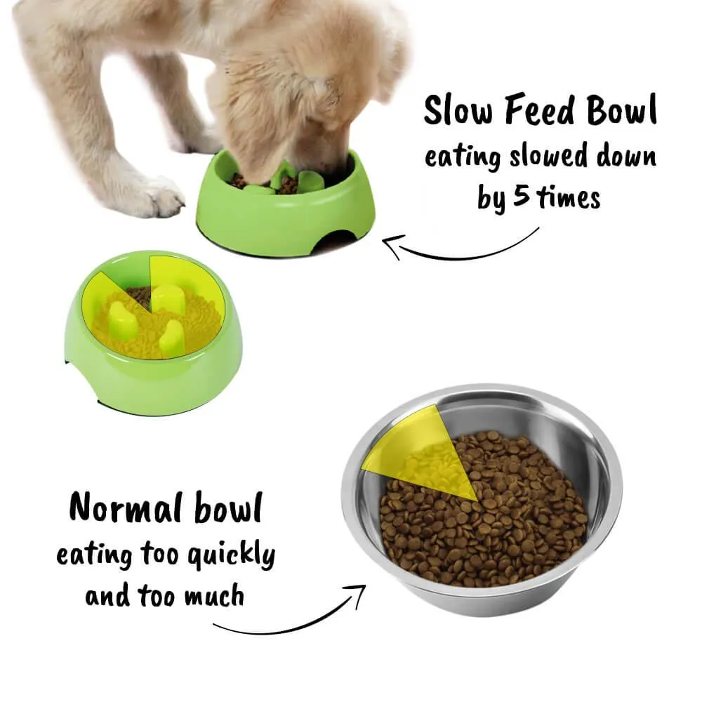 Slow Feeder Melamine Dog Bowl - Green