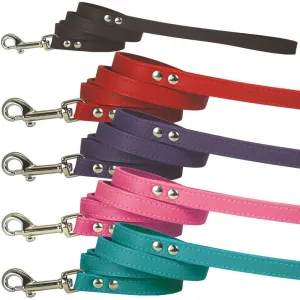 Spike & Stud Signature Leash, Pink, 1/2" x 4'