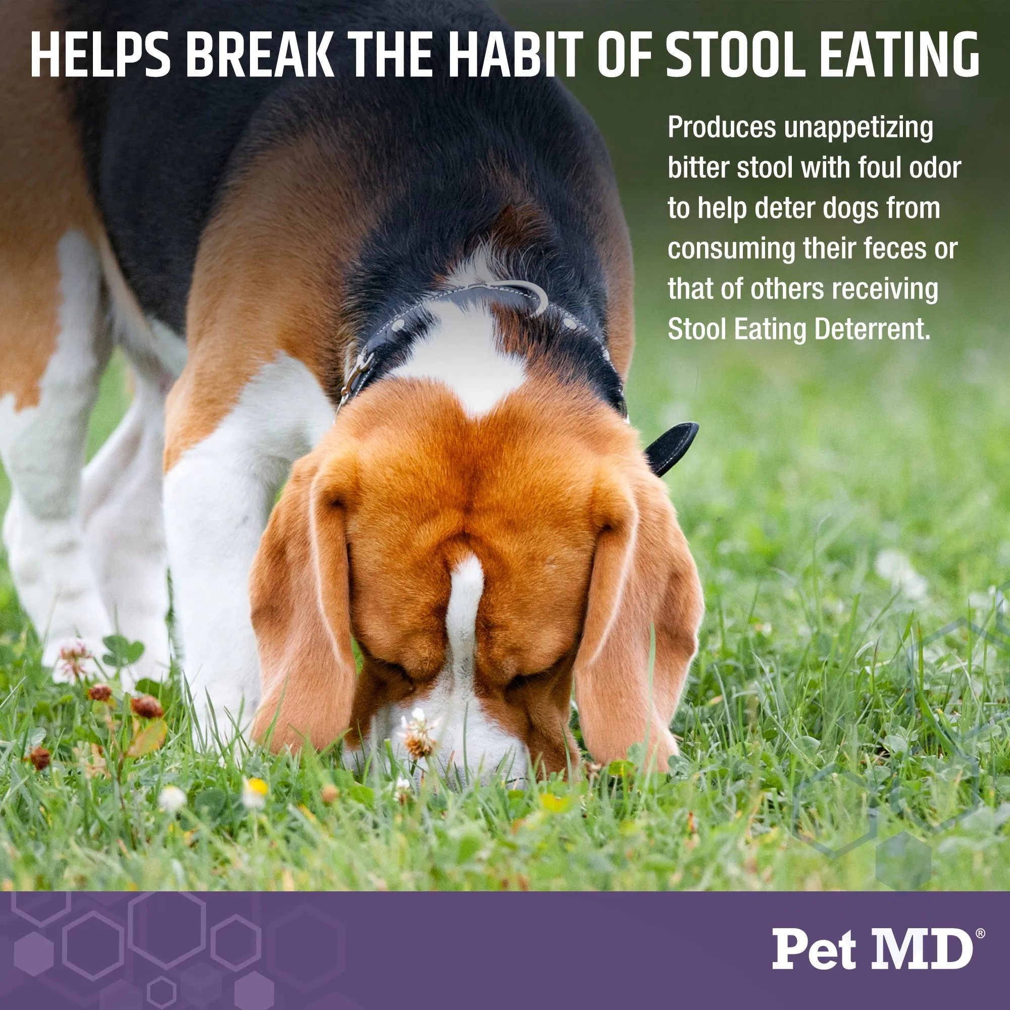 Stool Eating Deterrent for Dogs - 60 ct