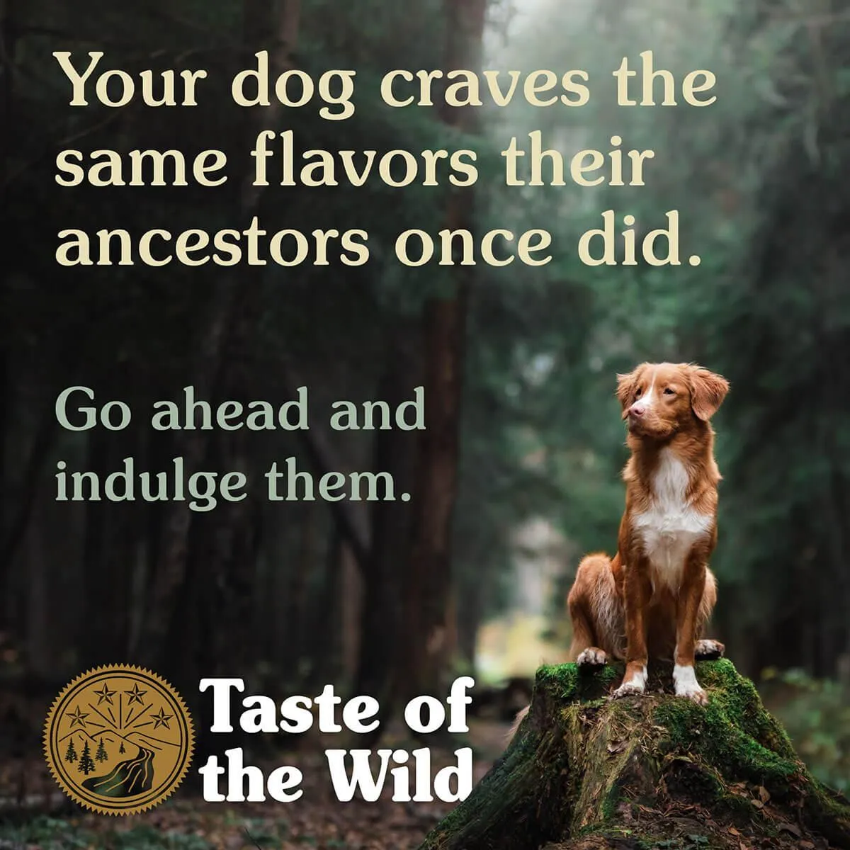 Taste of the Wild High Prairie Bison & Roasted Venison Dry Dog Food