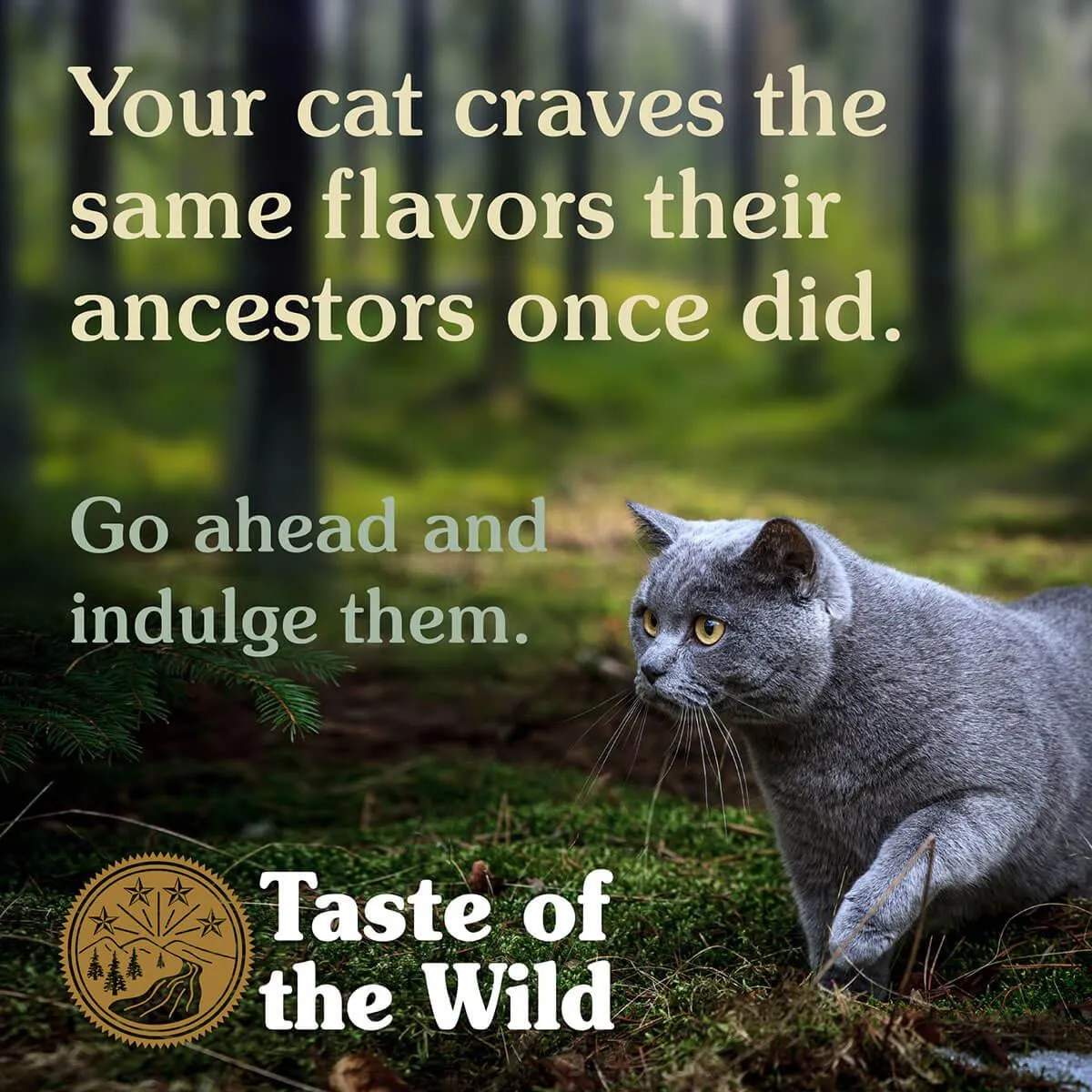 Taste of the Wild Rocky Mountain Roasted Venison & Smoked Salmon Feline Dry Cat Food