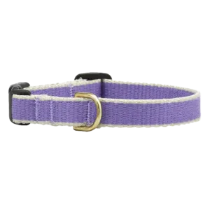 Teacup Collar | Purple & Gray