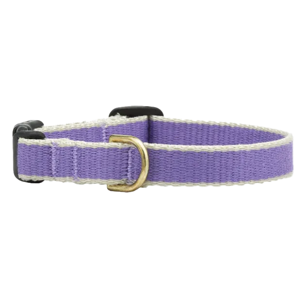 Teacup Collar | Purple & Gray