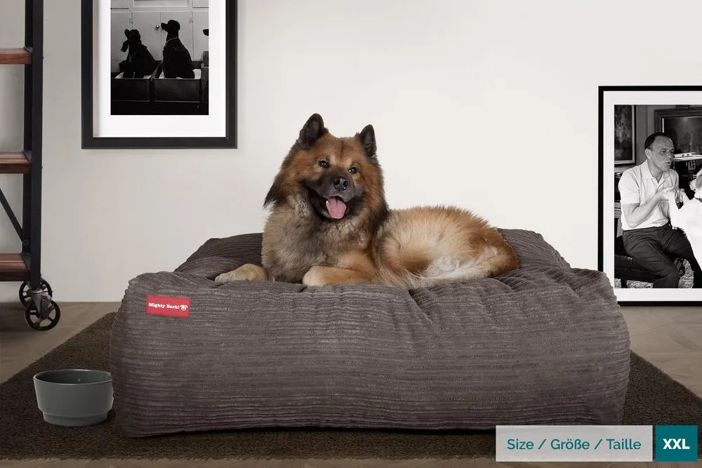 The Crash Pad Memory Foam Dog Bed - Cord Graphite Grey