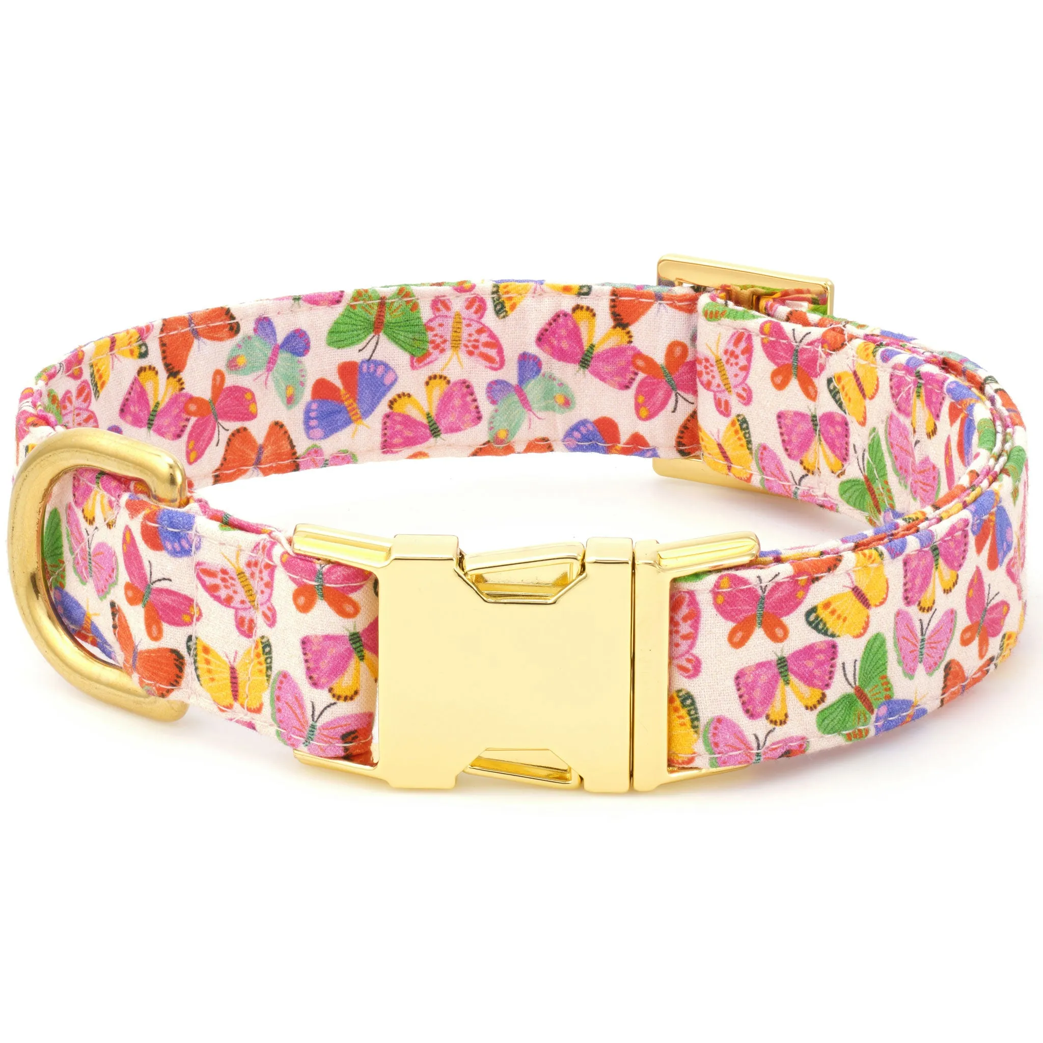 The Foggy Dog Collar - Butterflies