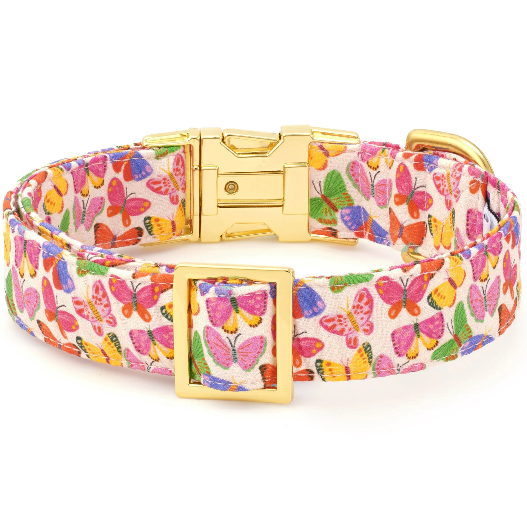 The Foggy Dog Collar - Butterflies