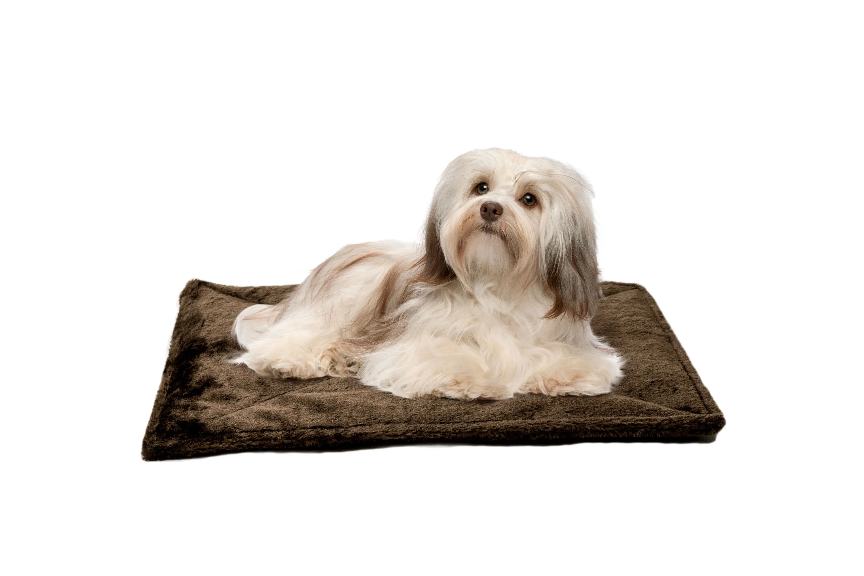 ThermaNAP™ Faux Fur Self-Warming Pet Bed Mat