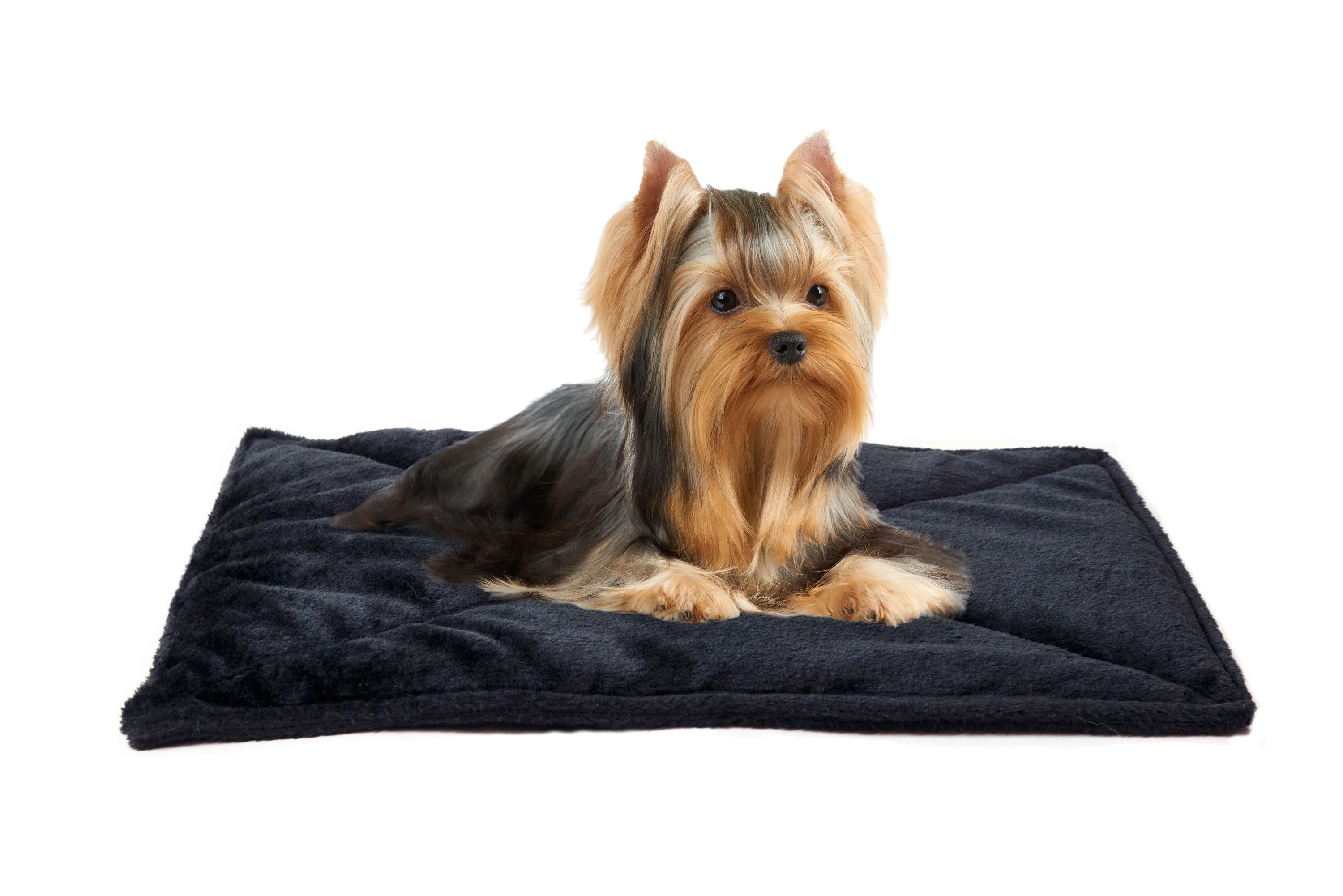 ThermaNAP™ Faux Fur Self-Warming Pet Bed Mat