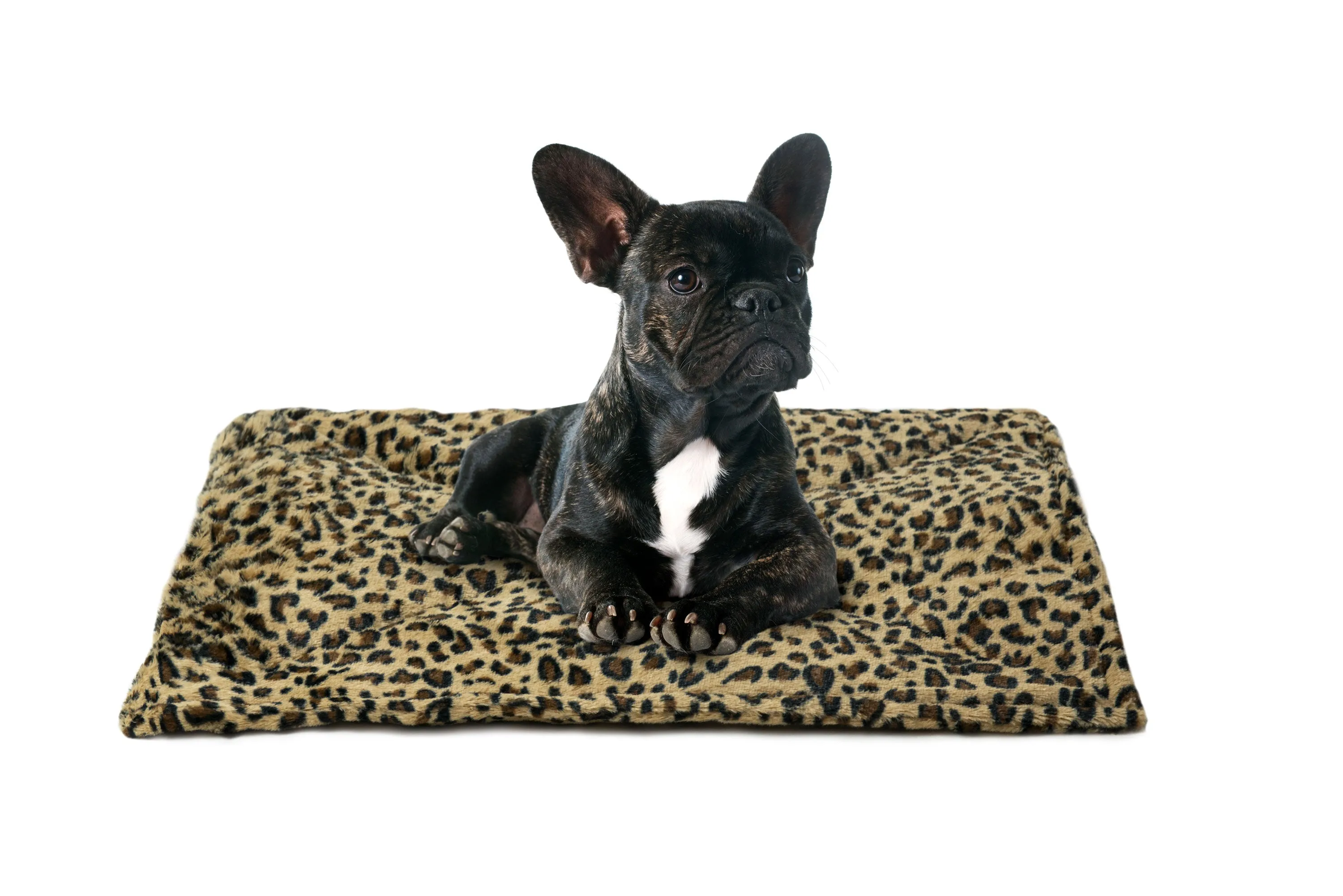 ThermaNAP™ Faux Fur Self-Warming Pet Bed Mat