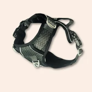 Twiggy Tags Adventure Harness Petrichor